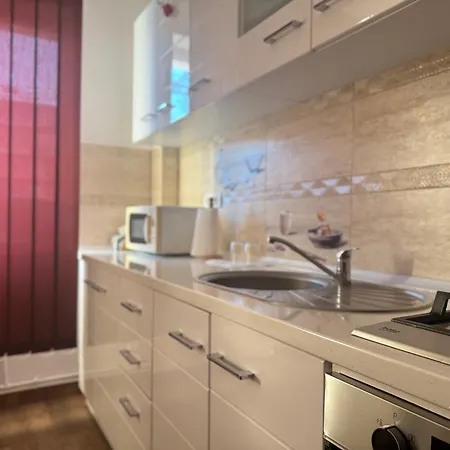 Boutique - Lacoste コスティネシュティ