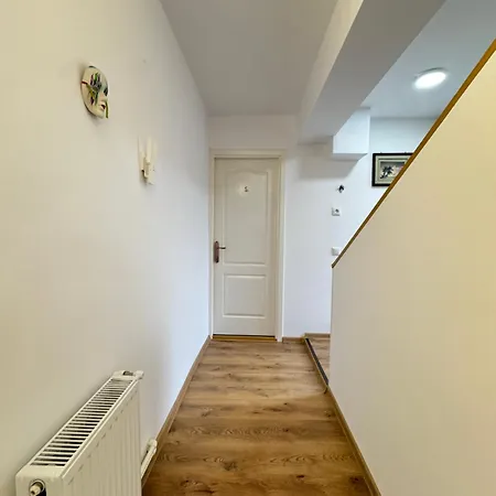 Boutique - Lacoste *